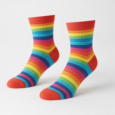 Assortment of French Bulldog puppy care products displayed on a clean surface