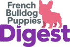 French Bulldog Puppies Digest