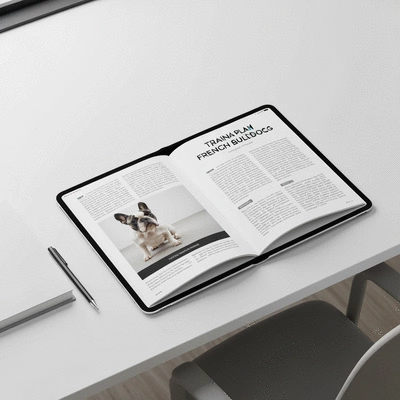 Mockup of a digital training plan for French Bulldogs